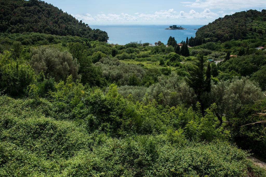 Villa Julia Petrovac Exterior foto