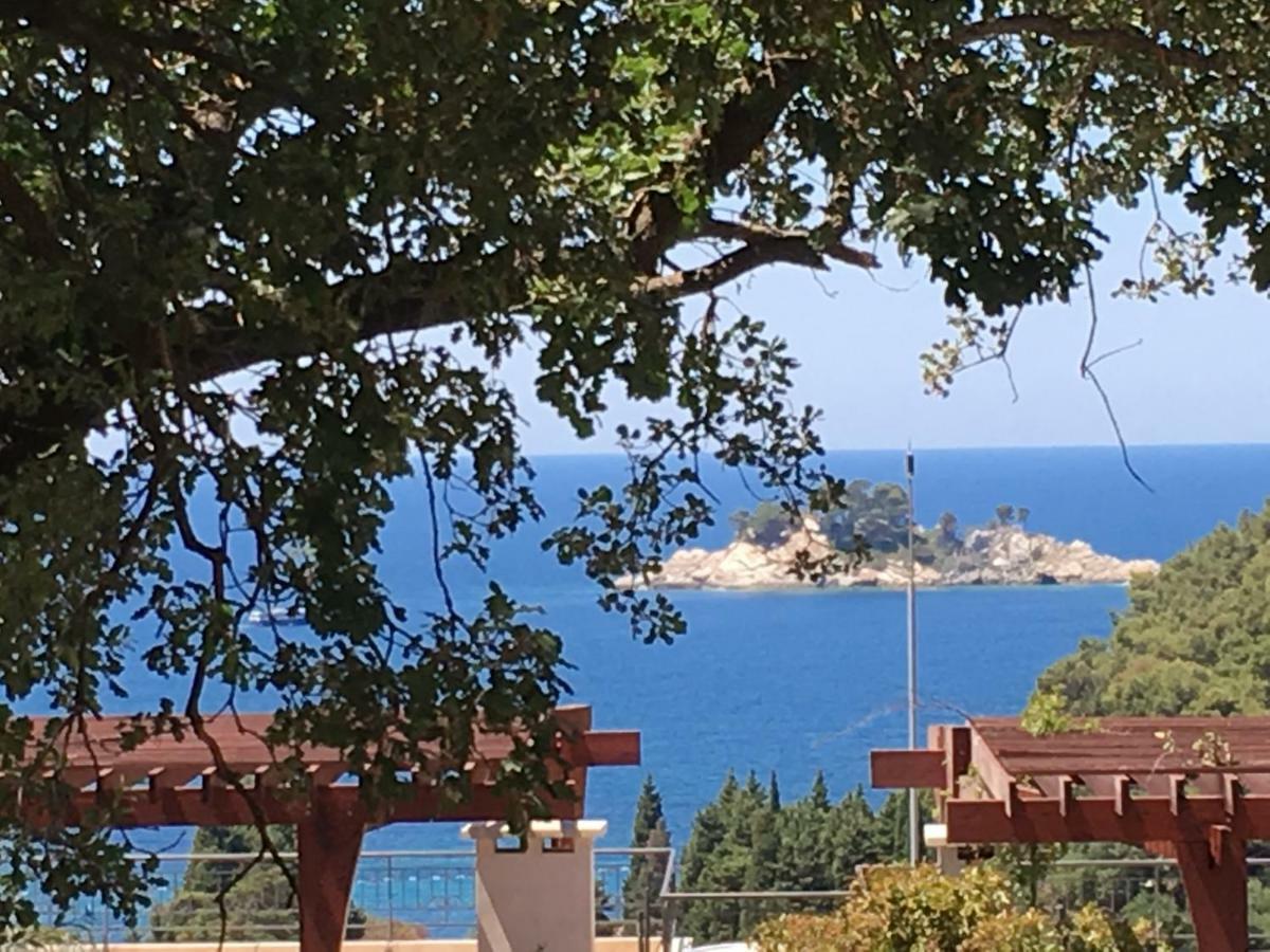 Villa Julia Petrovac Exterior foto
